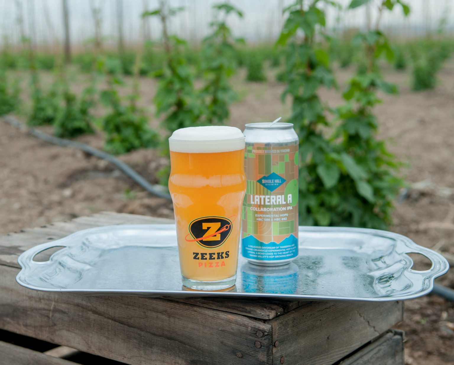 BREWPUBLIC SINGLE HILL BREWING, ZEEKS PIZZA AND SIP MAGAZINE